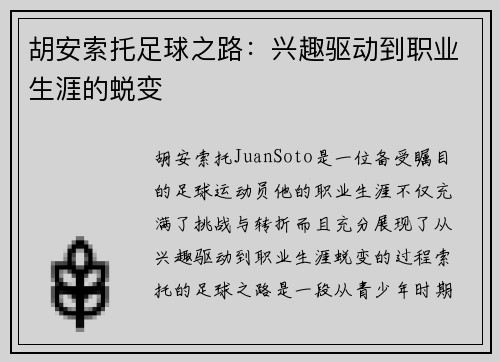 胡安索托足球之路：兴趣驱动到职业生涯的蜕变